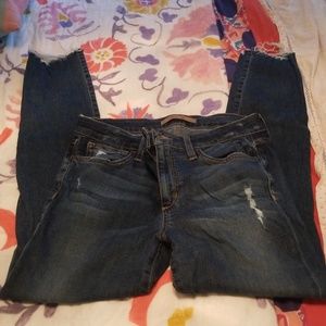 Joe's Jean's size 30 skinny ankle